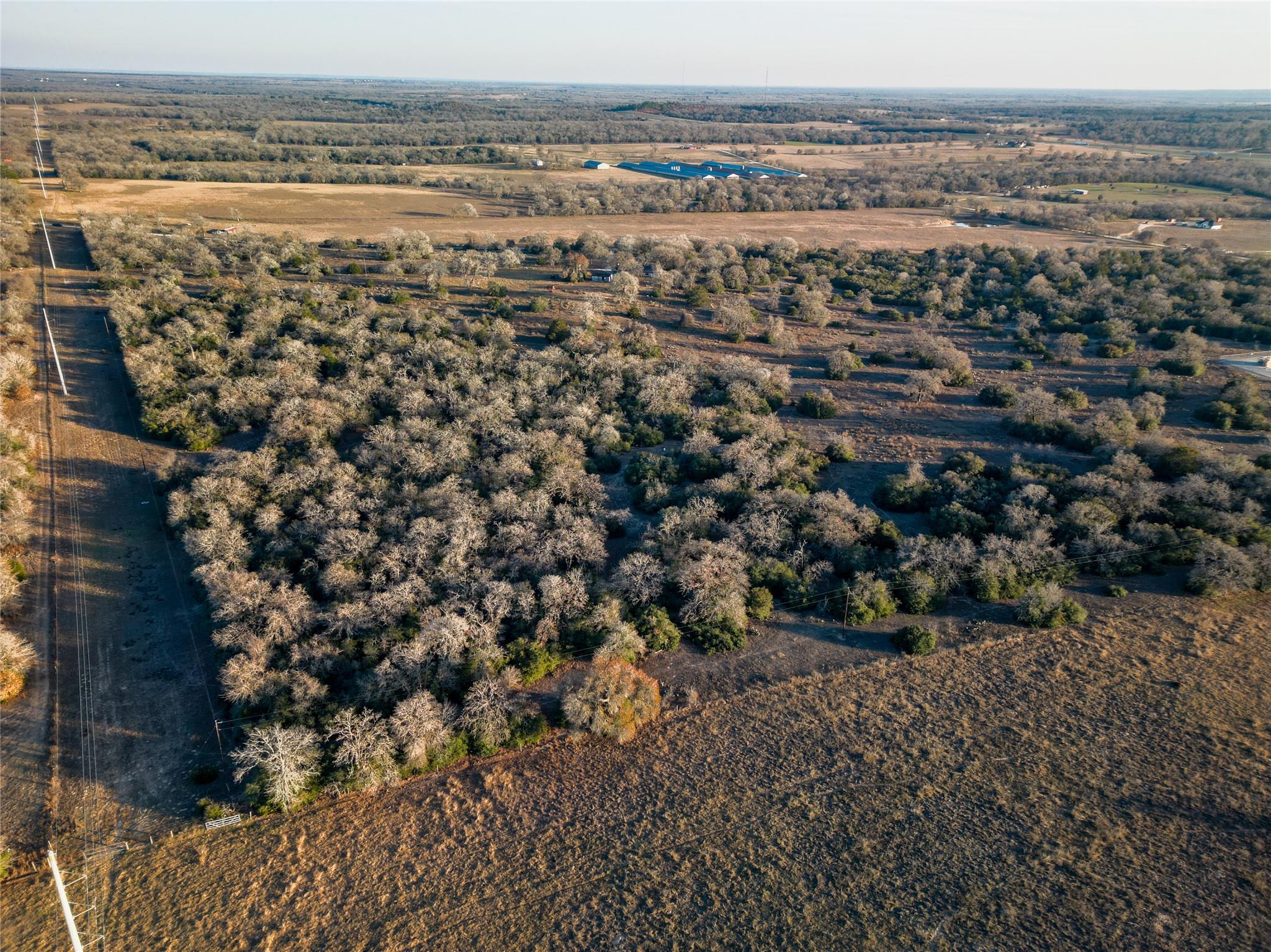 000 Sandy Pine Rd Property Photo 6