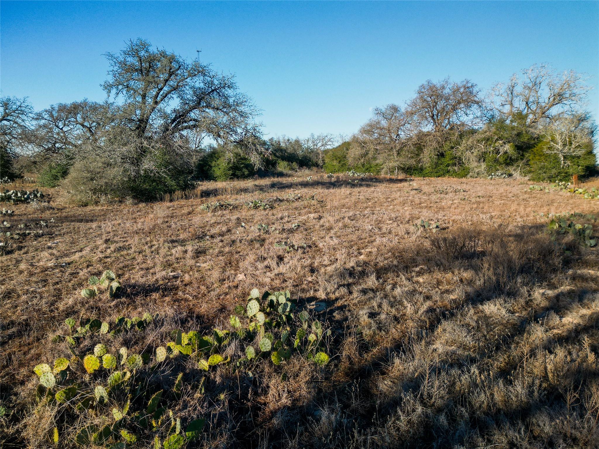 000 Sandy Pine Rd Property Photo 25