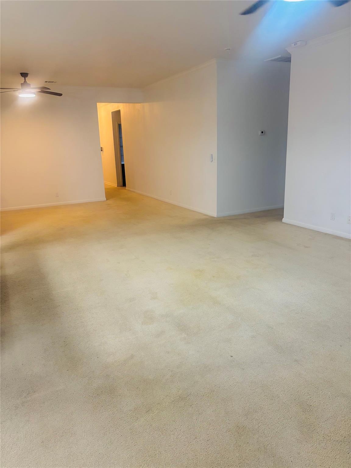 11609 Marshall St Property Photo 20