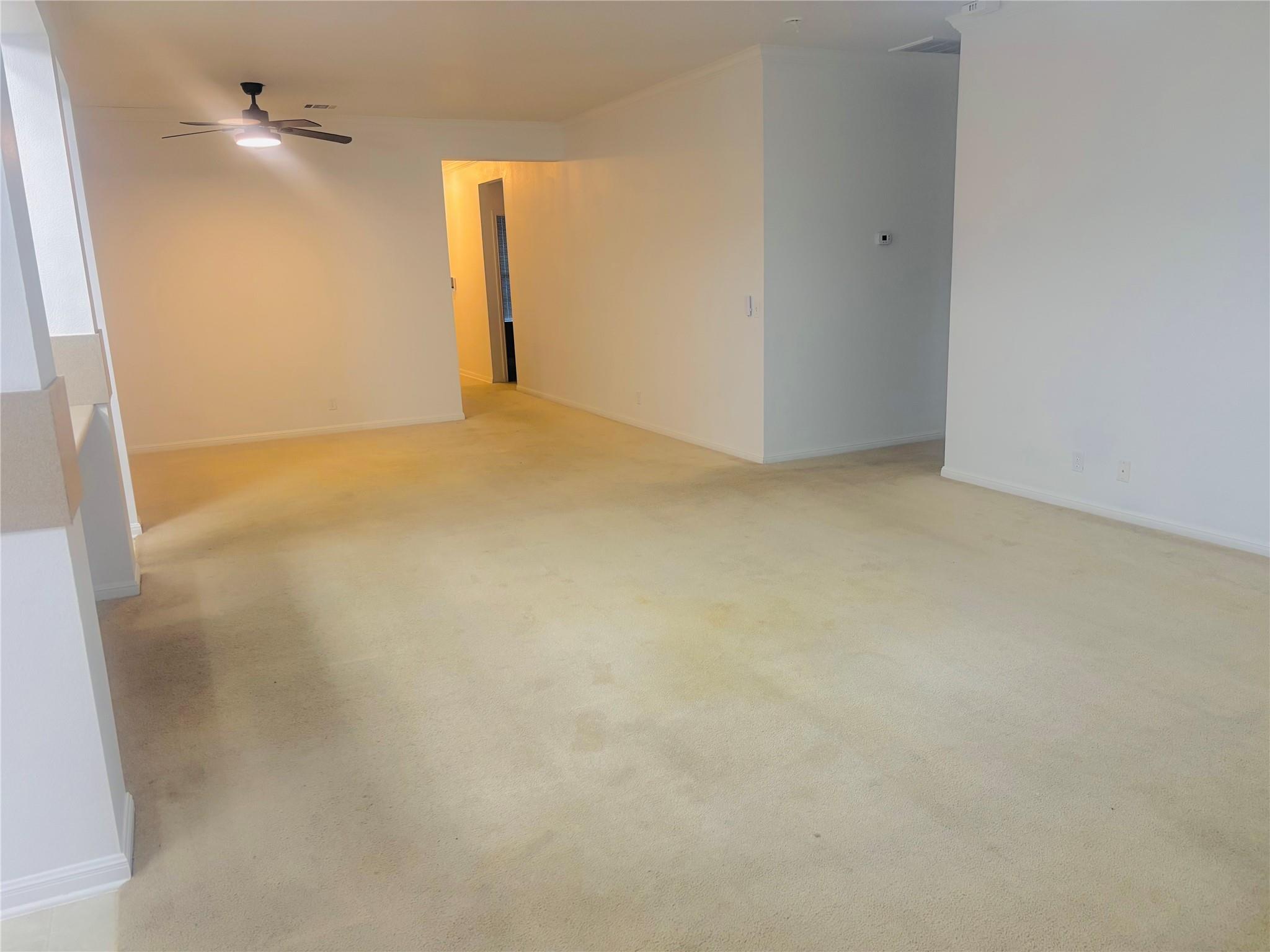 11609 Marshall St Property Photo 21