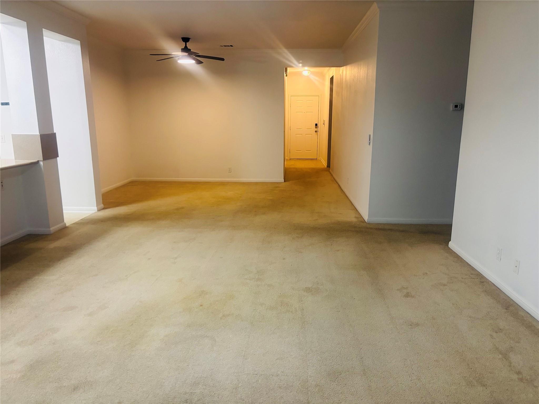 11609 Marshall St Property Photo 22