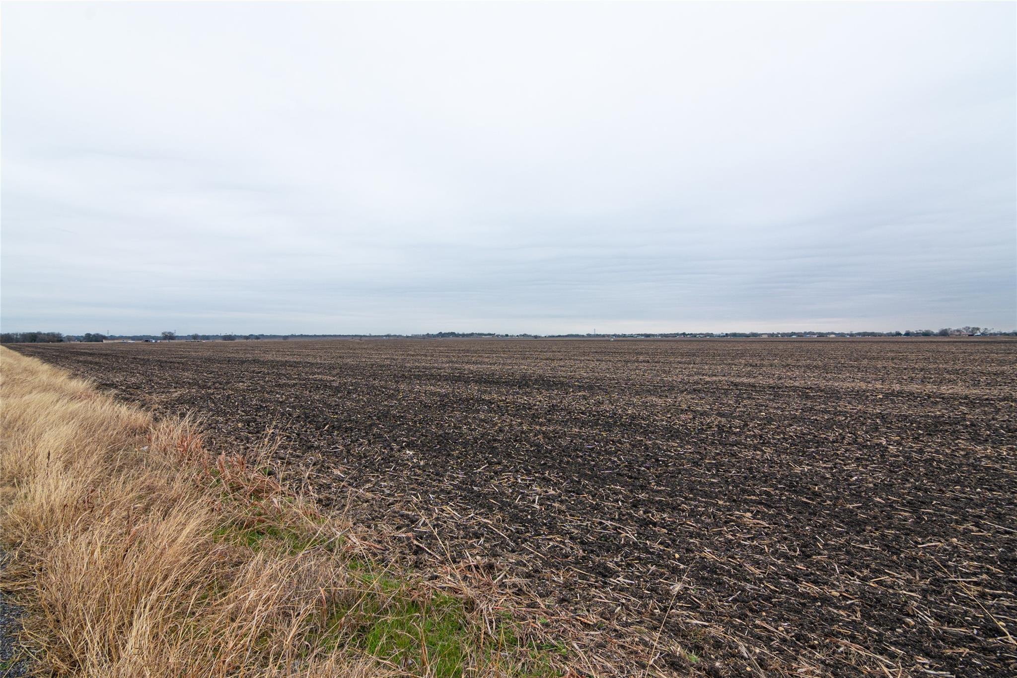 98.215 Acres Misty Ln Property Photo 8