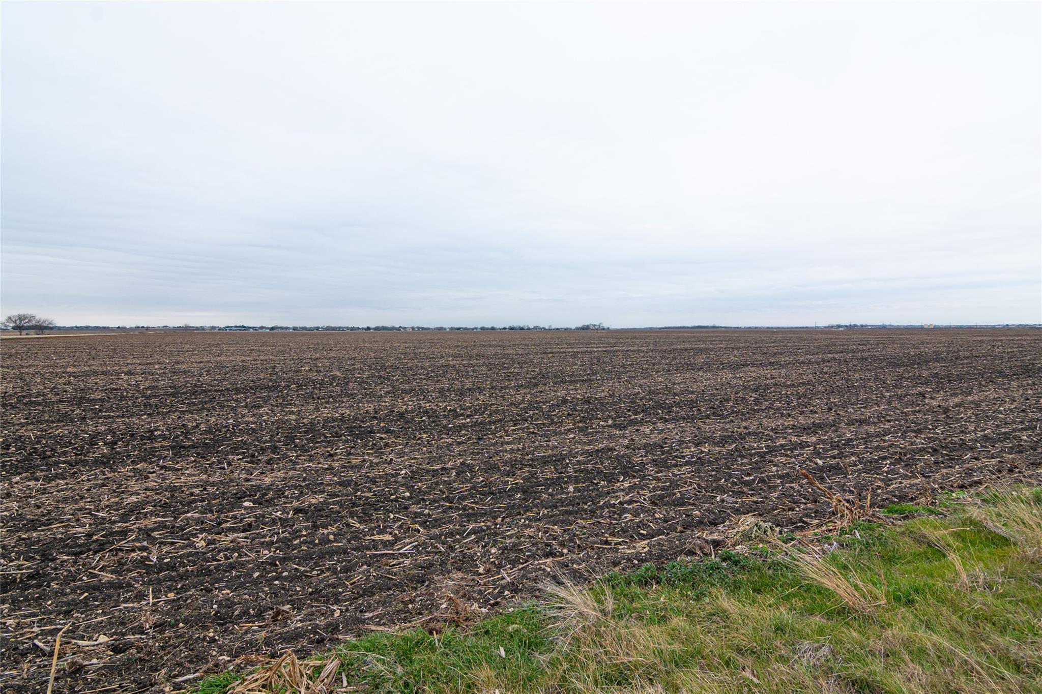 98.215 Acres Misty Ln Property Photo 10