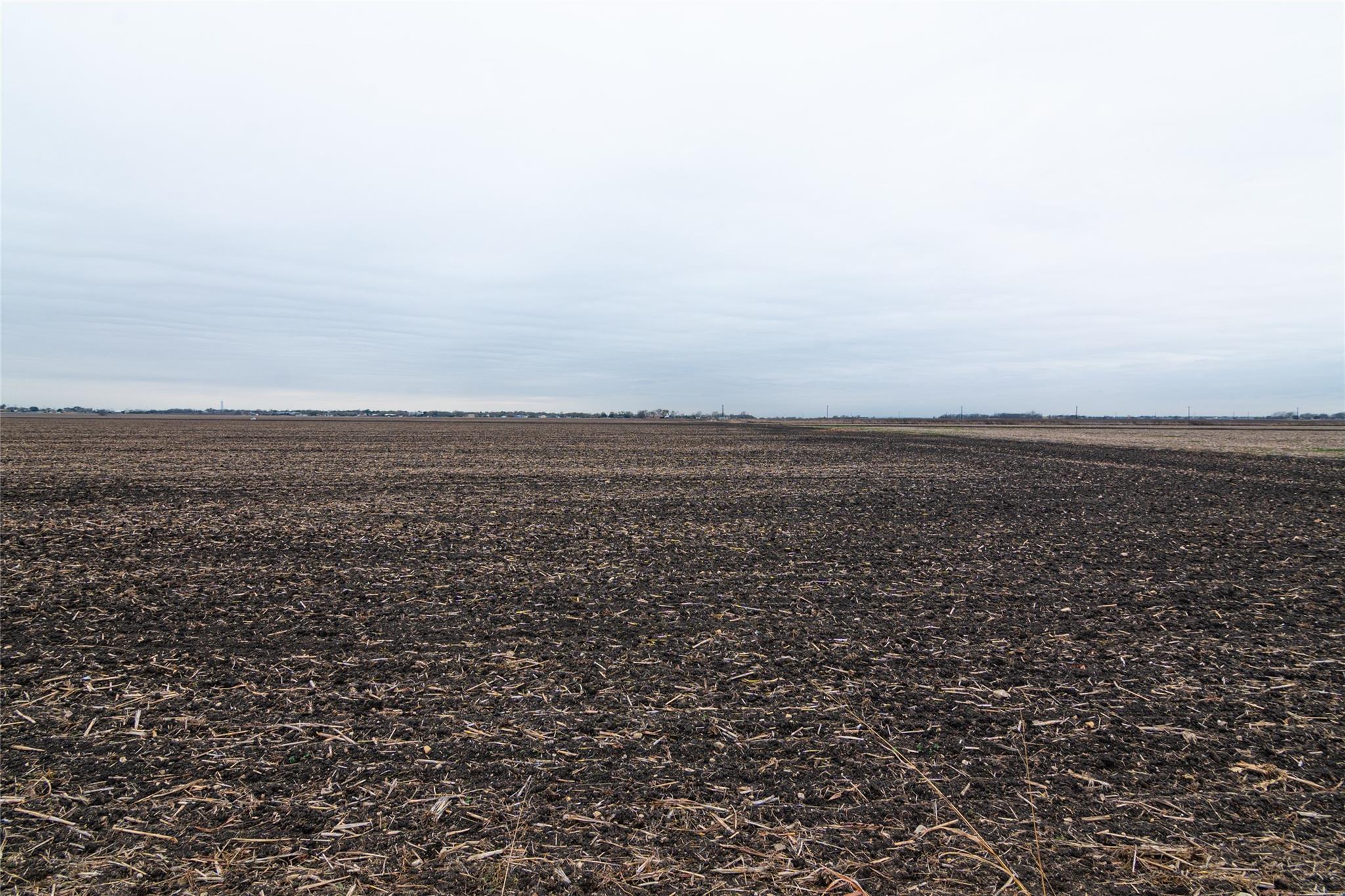 98.215 Acres Misty Ln Property Photo 11