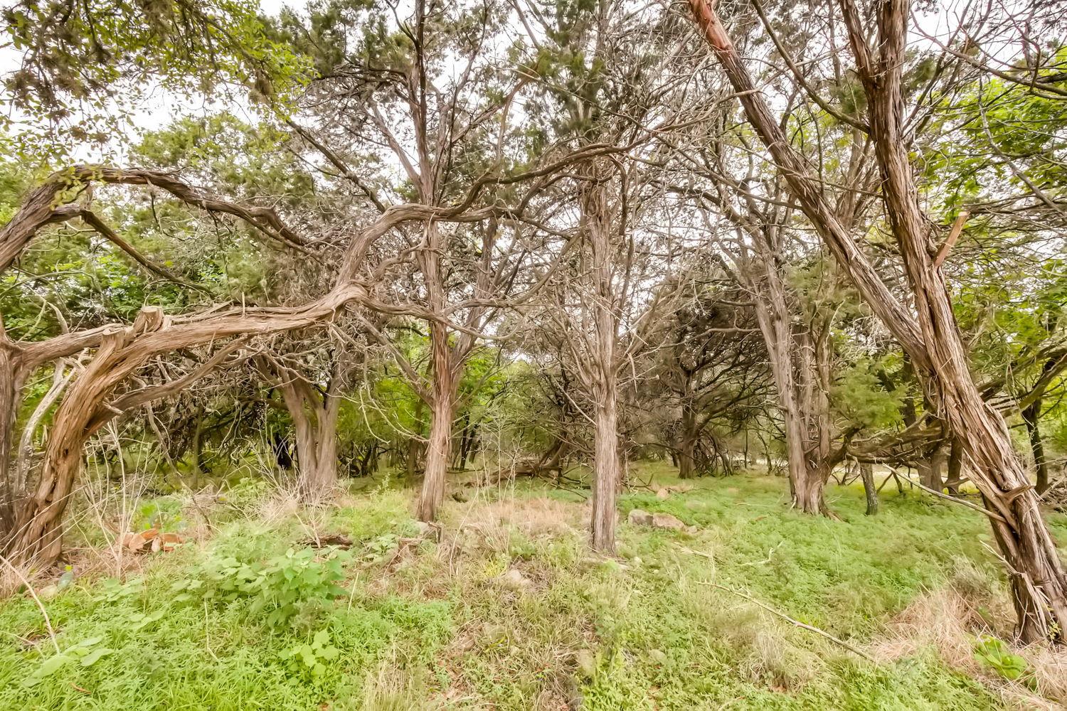 1390 Ervendberg Property Photo 24
