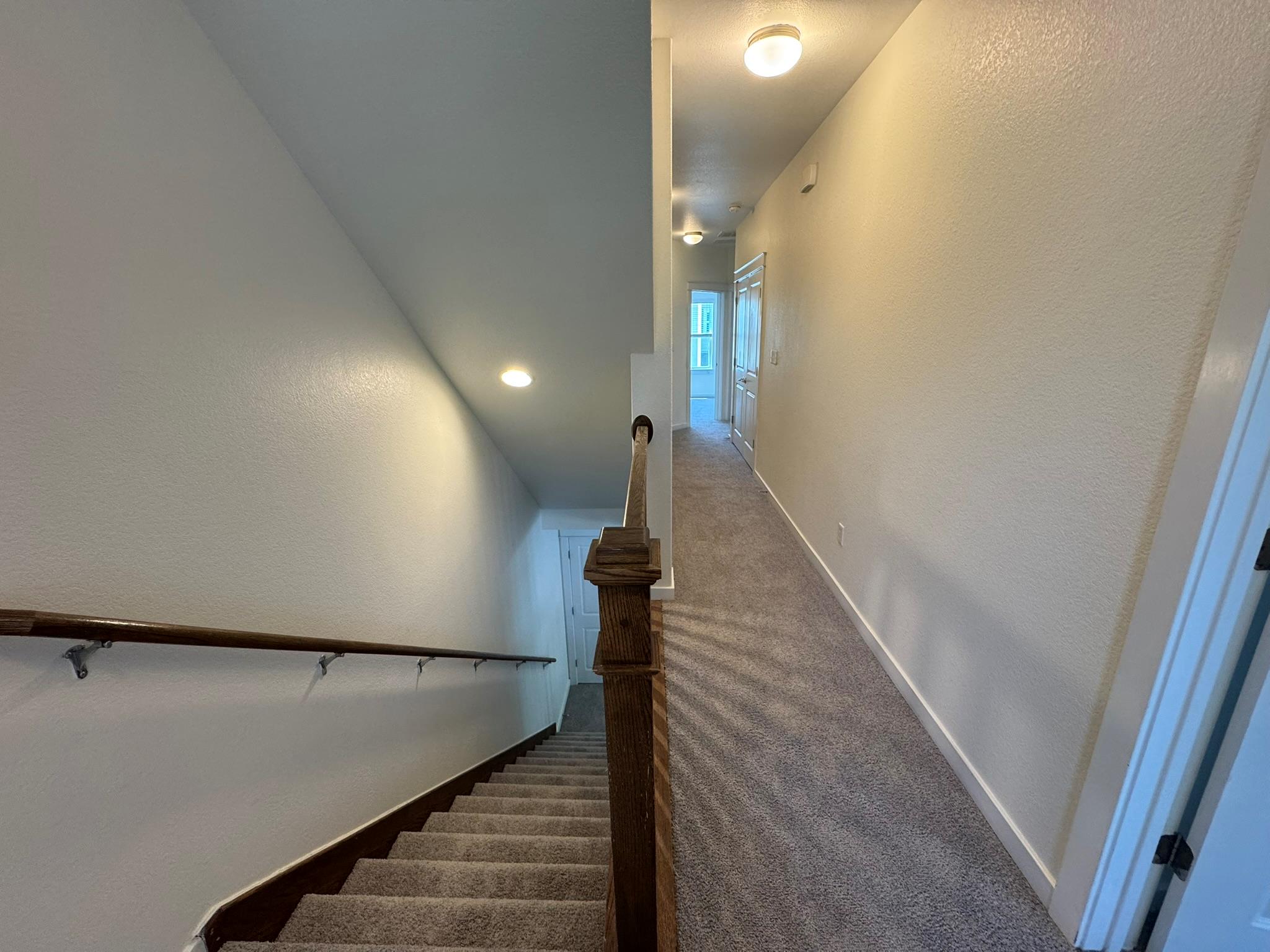 2033 Philomena St Property Photo 12