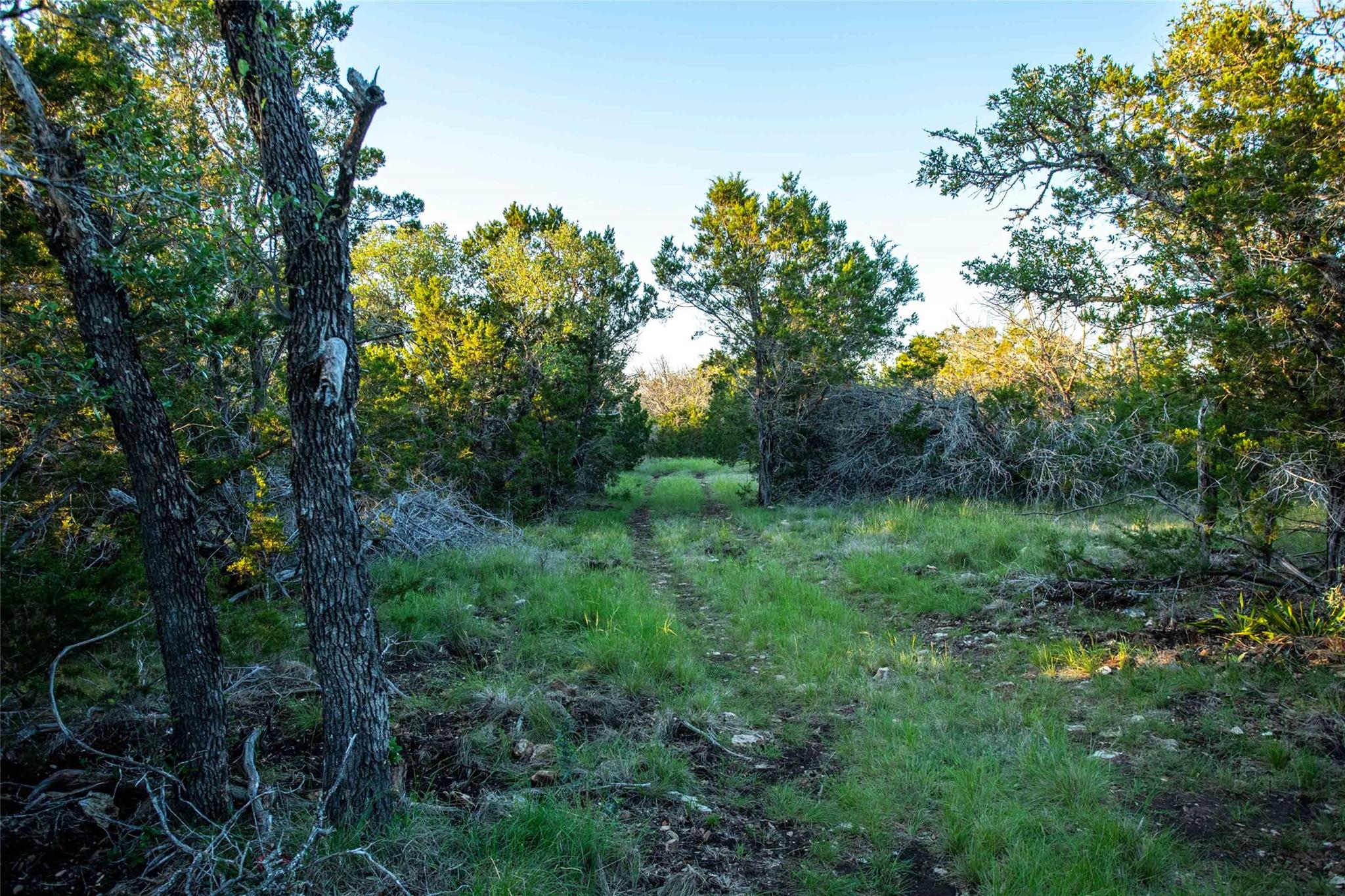 225 Lost Man Rd Property Photo 24