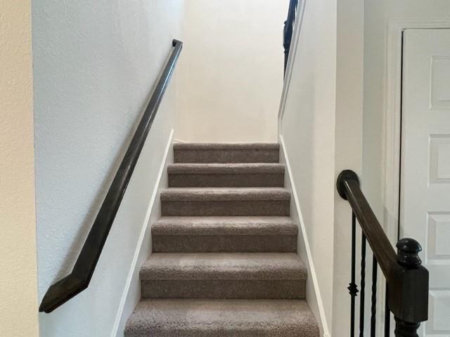 4519 Avellino Dr Property Photo 24