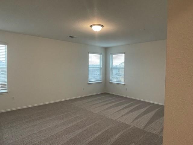 4519 Avellino Dr Property Photo 26
