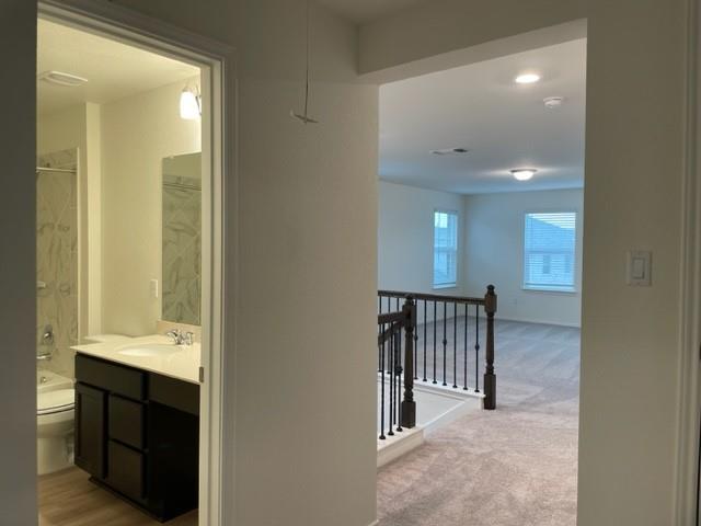 4519 Avellino Dr Property Photo 30