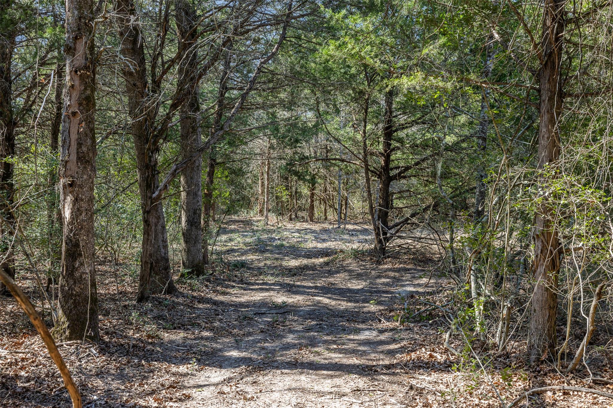 4.81 Ac Pauline Ln Property Photo 3