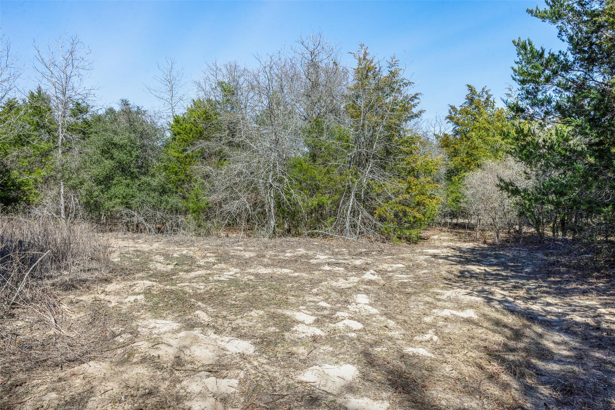 4.81 Ac Pauline Ln Property Photo 4
