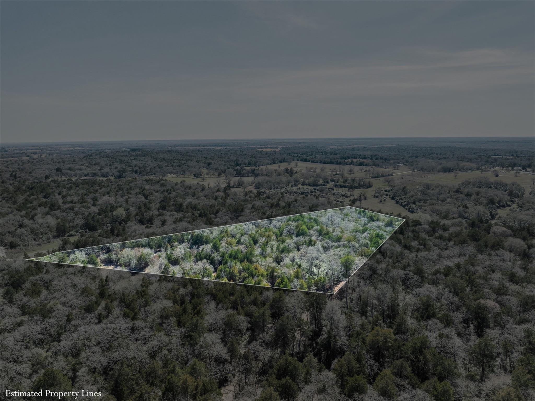 4.81 Ac Pauline Ln Property Photo 7