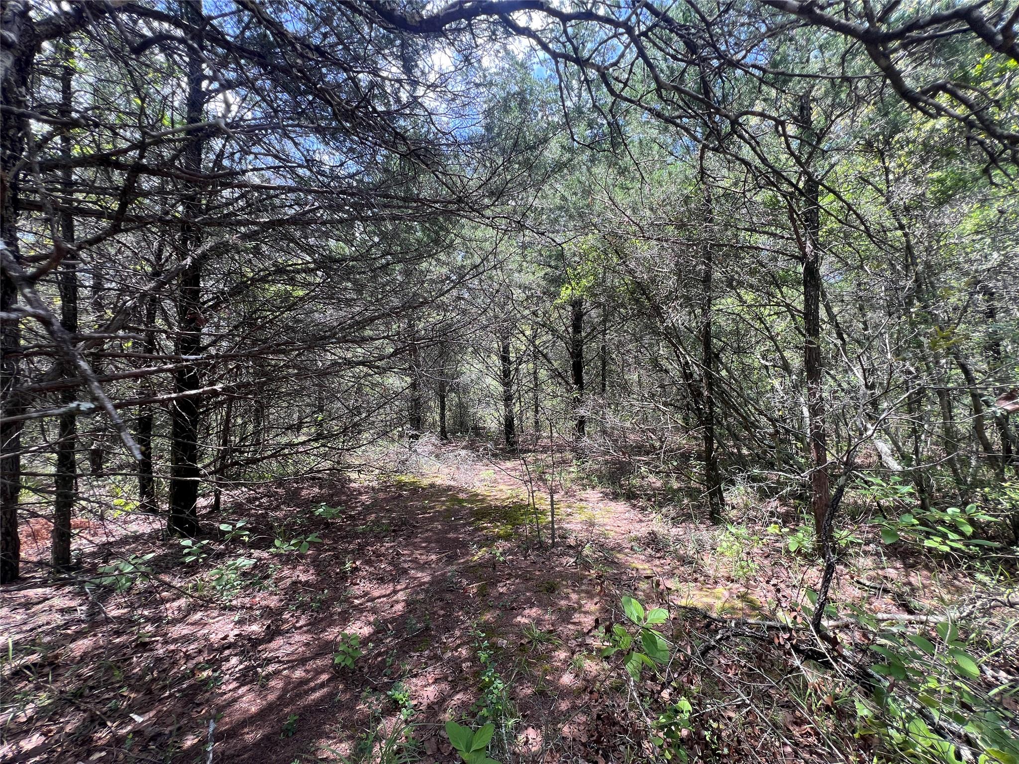 4.81 Ac Pauline Ln Property Photo 12