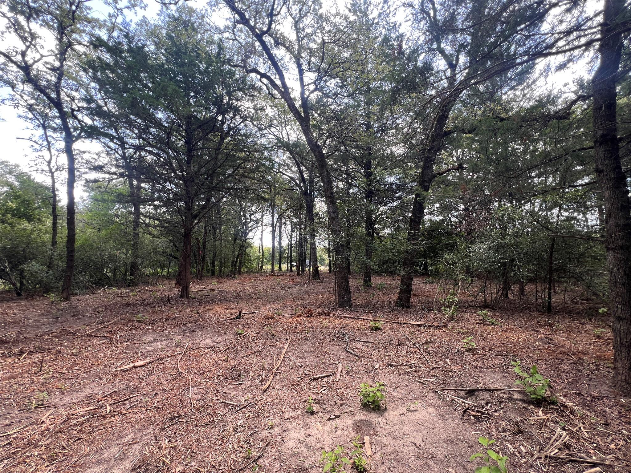 4.81 Ac Pauline Ln Property Photo 13
