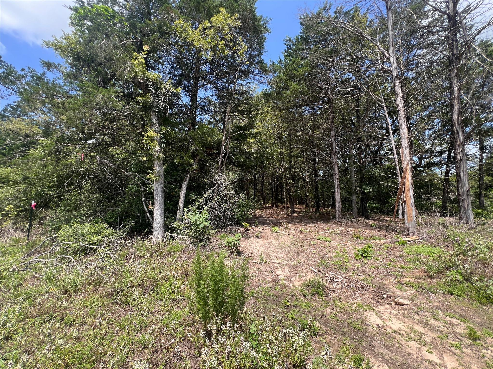 4.81 Ac Pauline Ln Property Photo 15