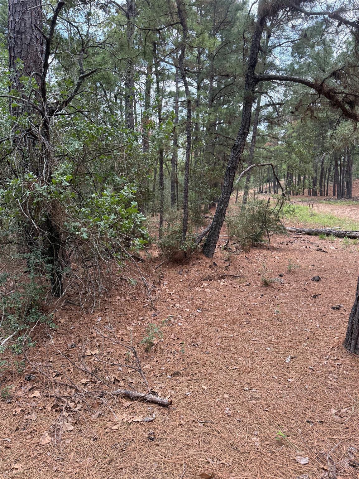 Lot 35 Tanglewood Dr Property Photo 1