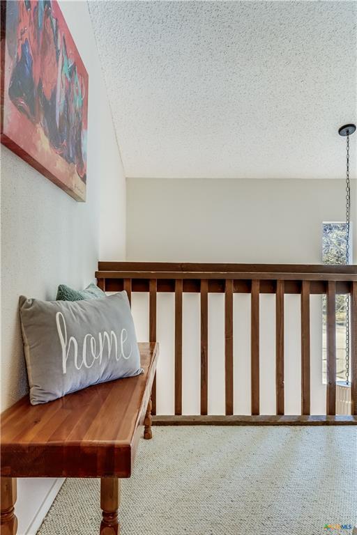 133 Comanche Pt Property Photo 18