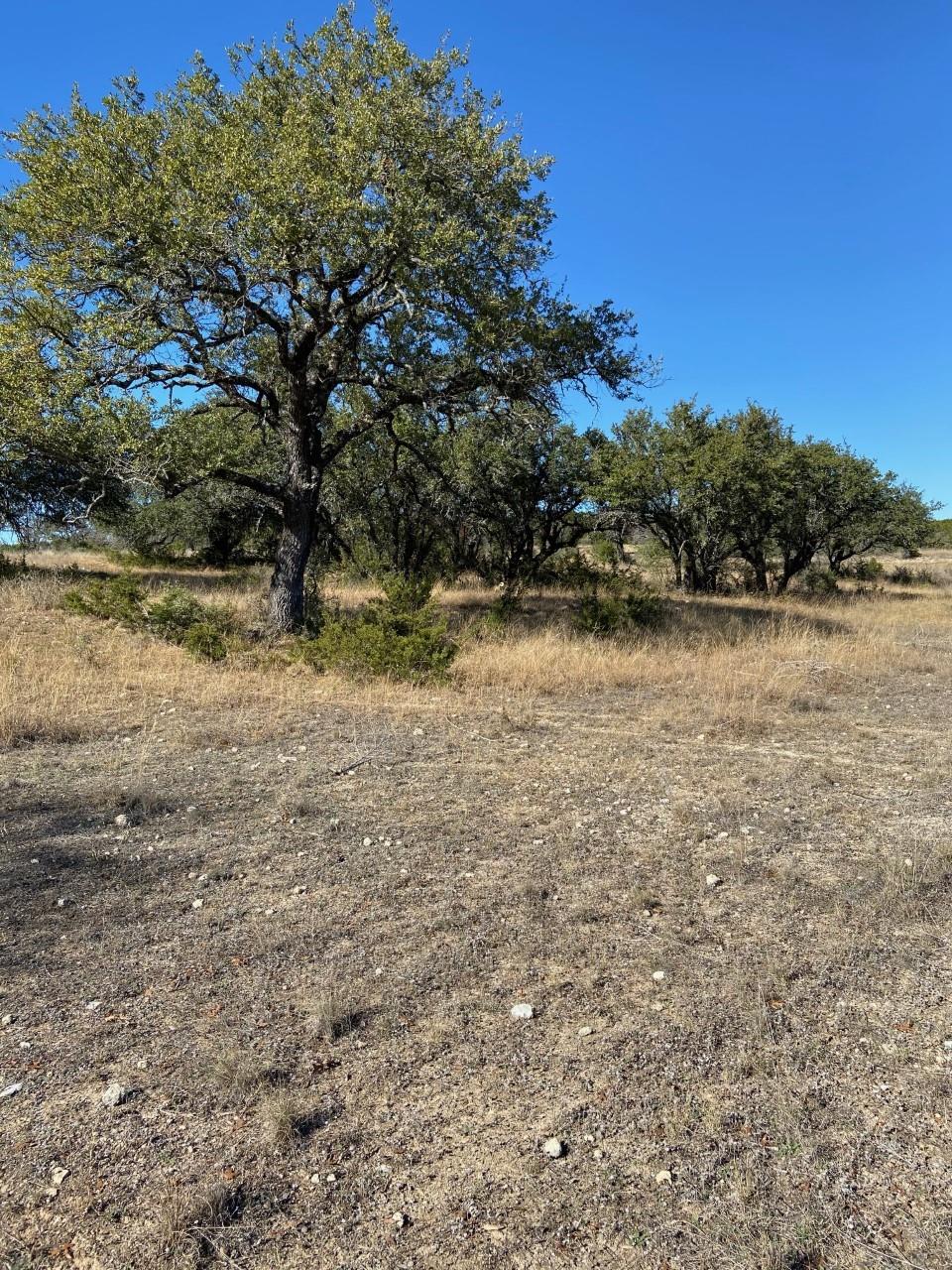 Lot 199 Private Road 4718 None Property Photo 3