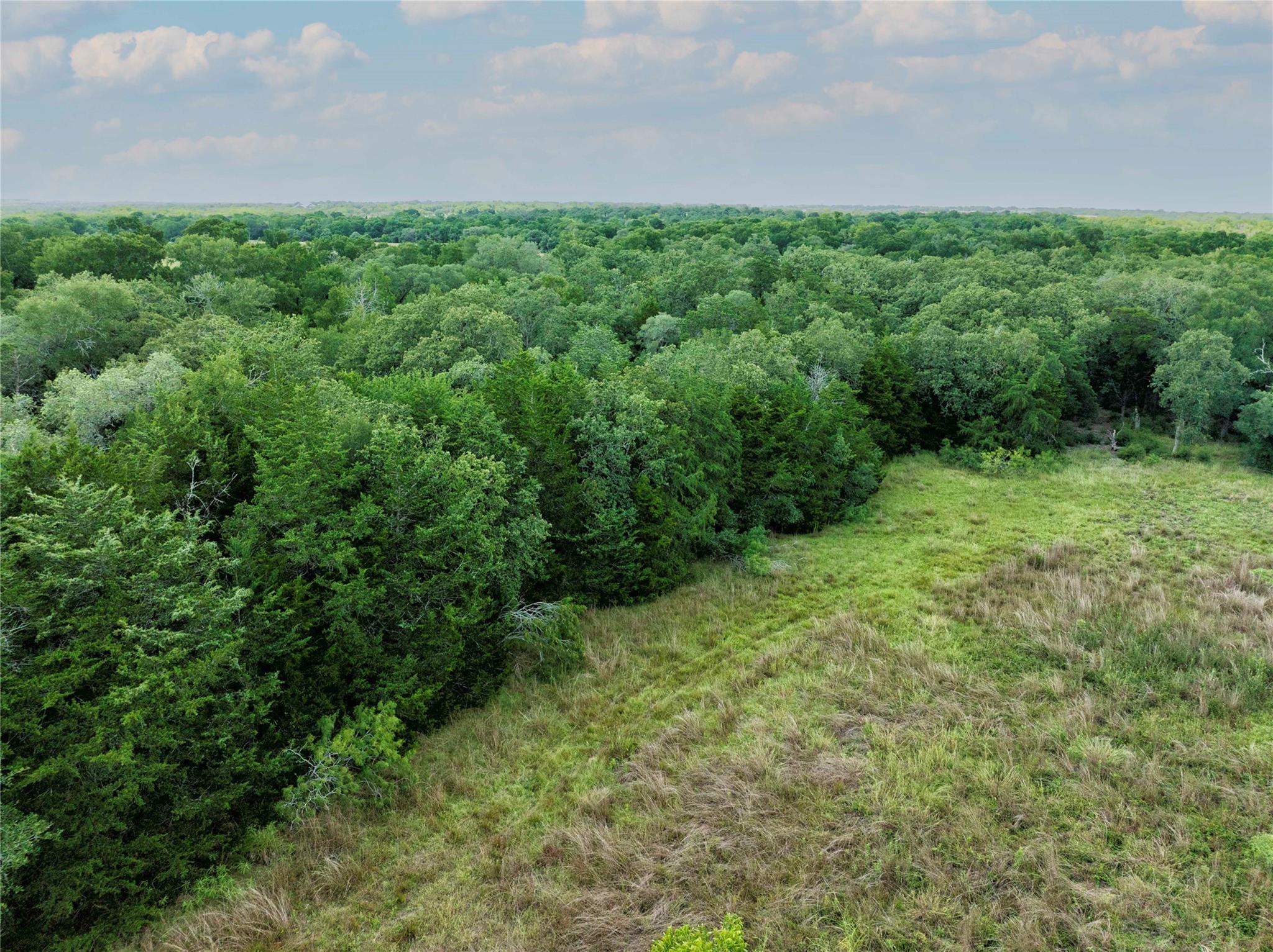 5109 Hranicky Rd Property Photo 23