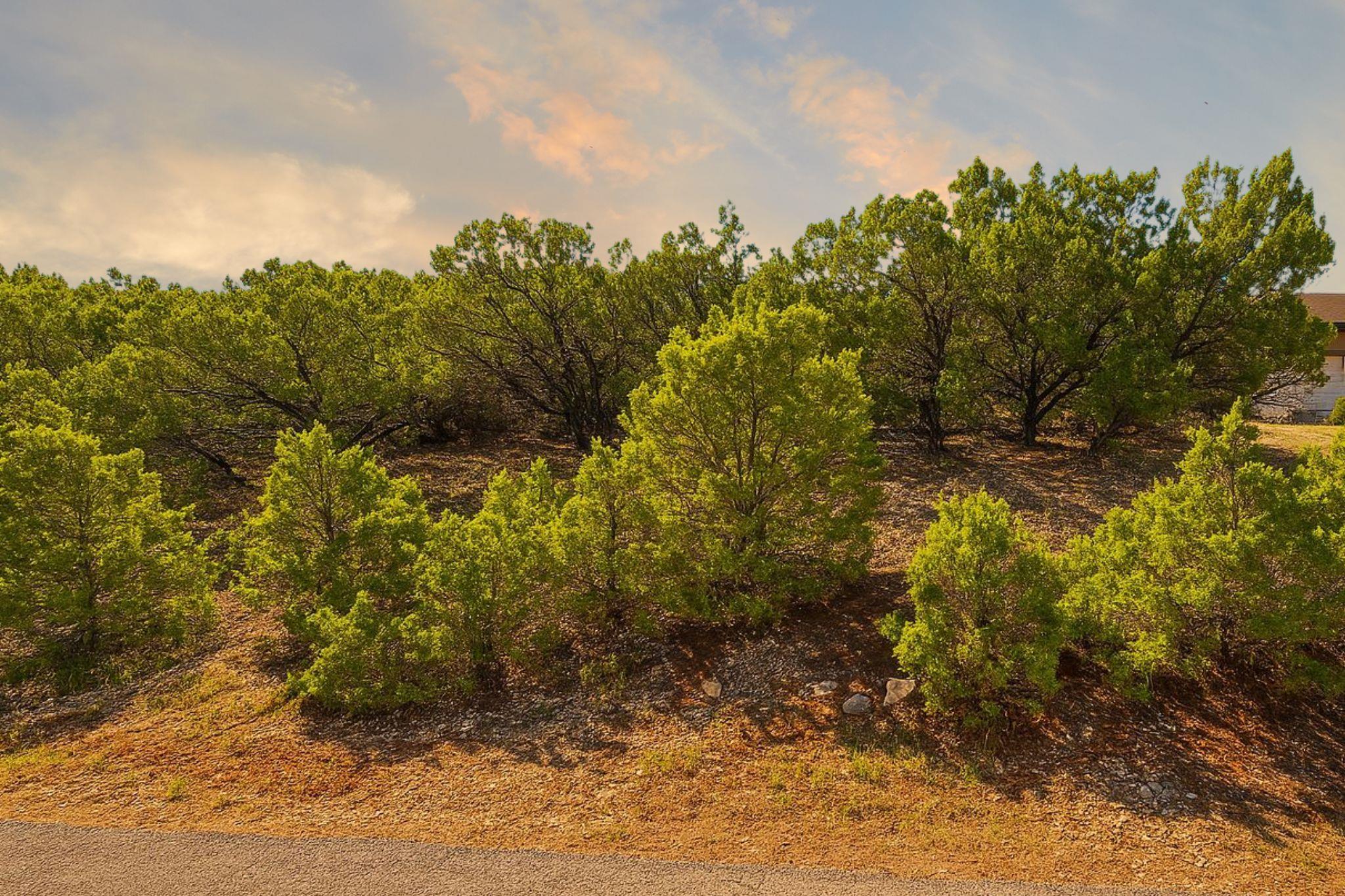 20607 Branding Iron Property Photo 1