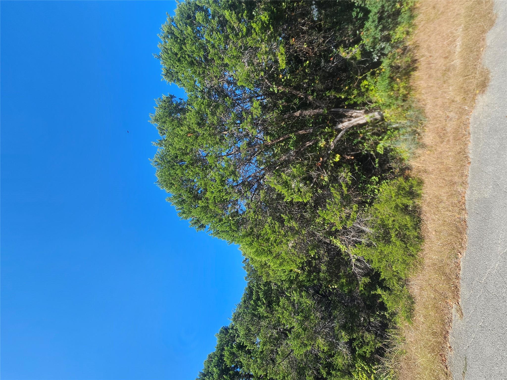 7406 White Oak Dr Property Photo 1