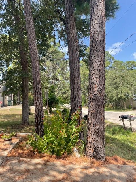 110 N Kanaio Dr #b Property Photo 2