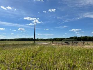 176 County Road 428 Rd Property Photo 3