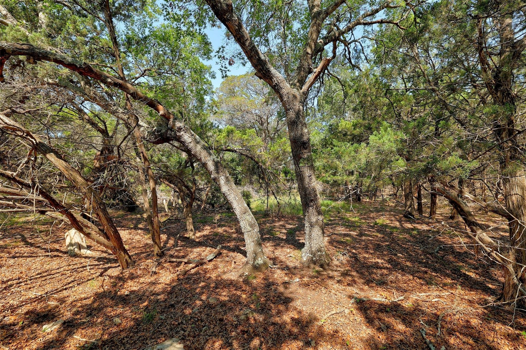 17701 Regatta View Dr Property Photo 32