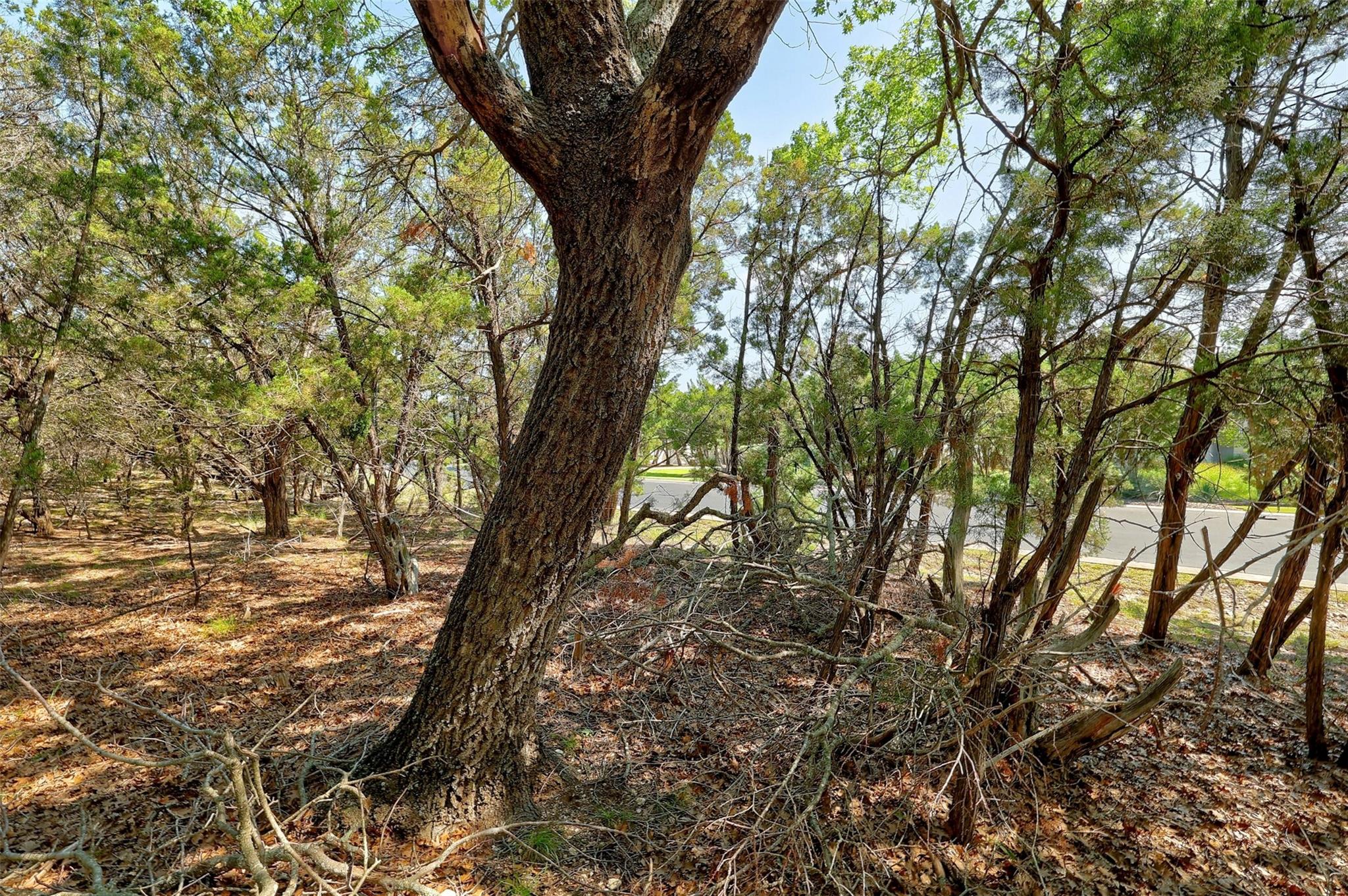 17701 Regatta View Dr Property Photo 35