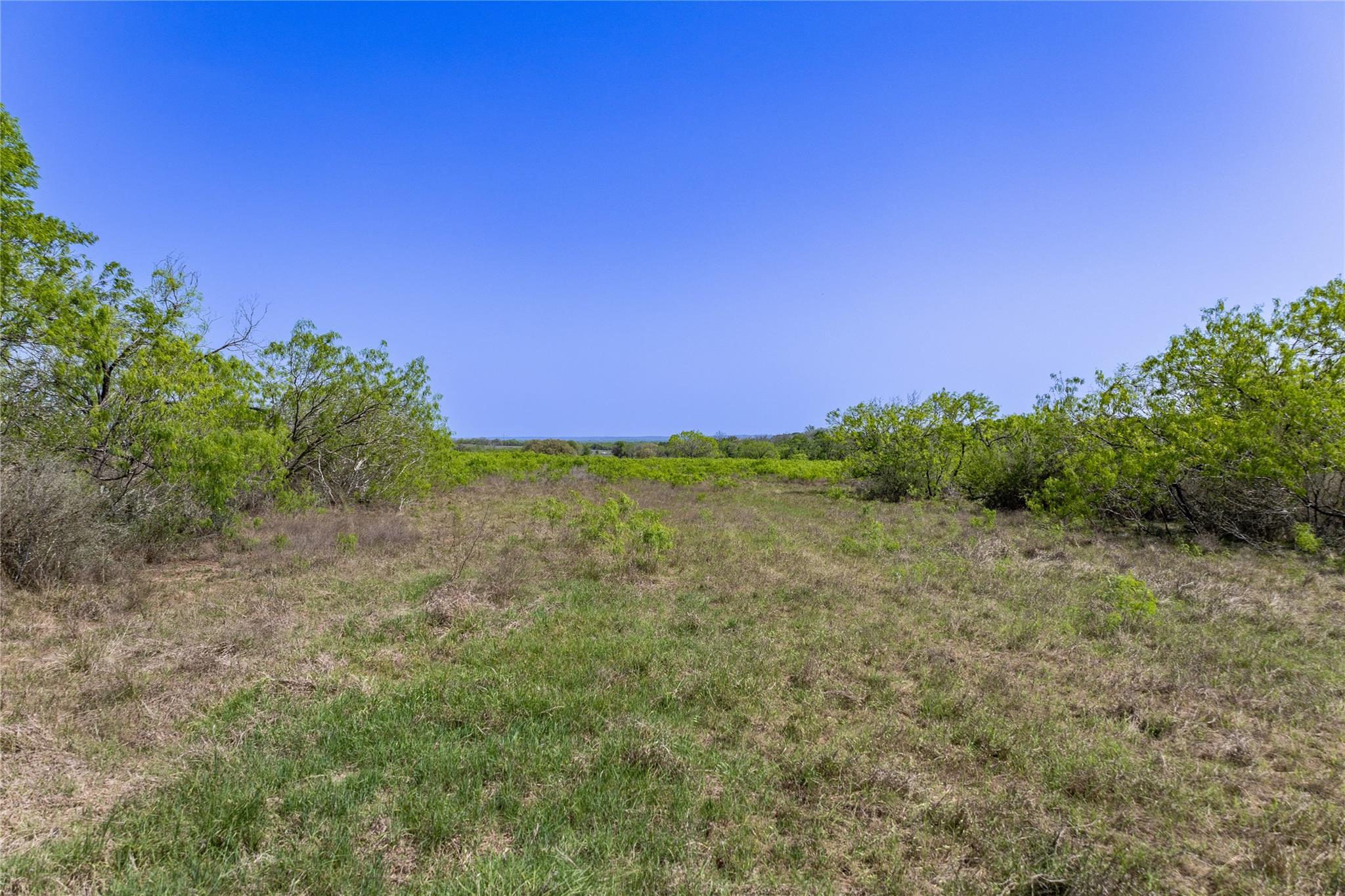2990 Fm 467 Property Photo 5