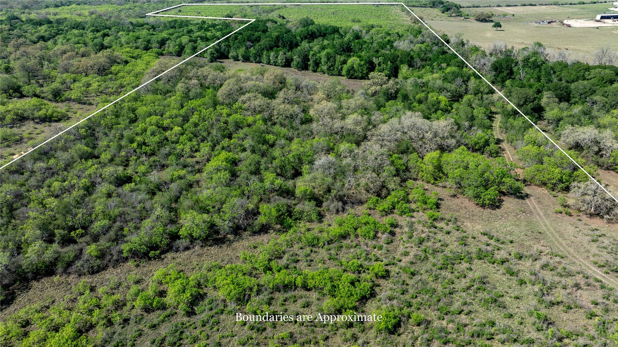 2990 Fm 467 Property Photo 6