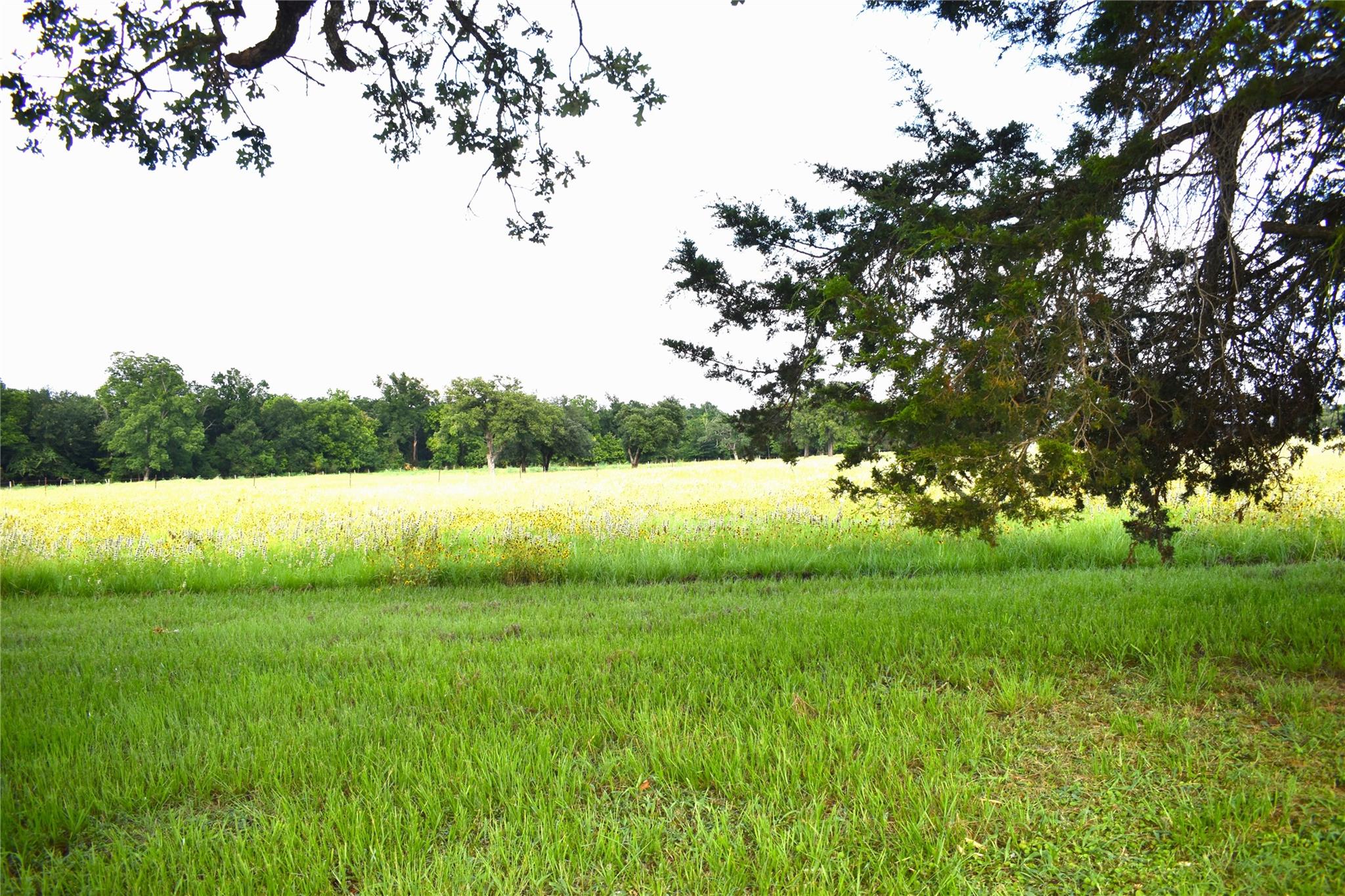 577 S Fm 487 Property Photo 2