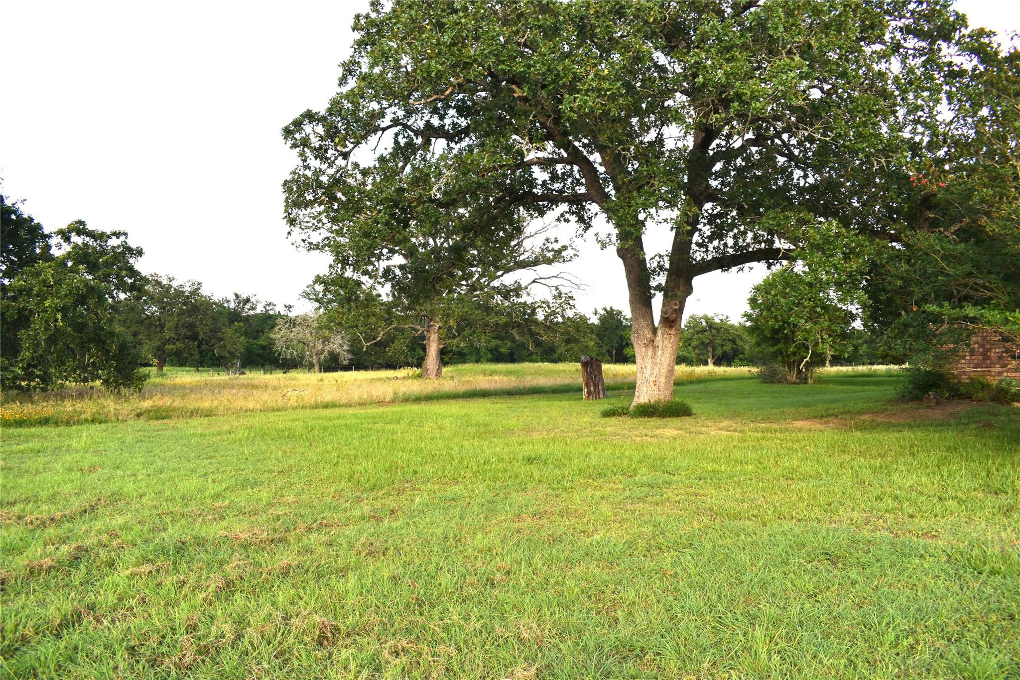 577 S Fm 487 Property Photo 8