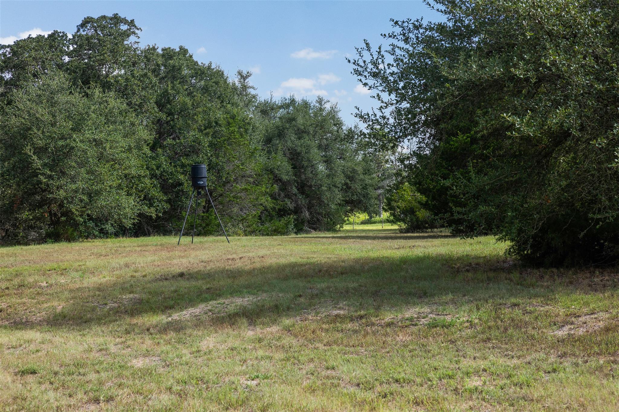 3555 County Road 430 None Property Photo 4