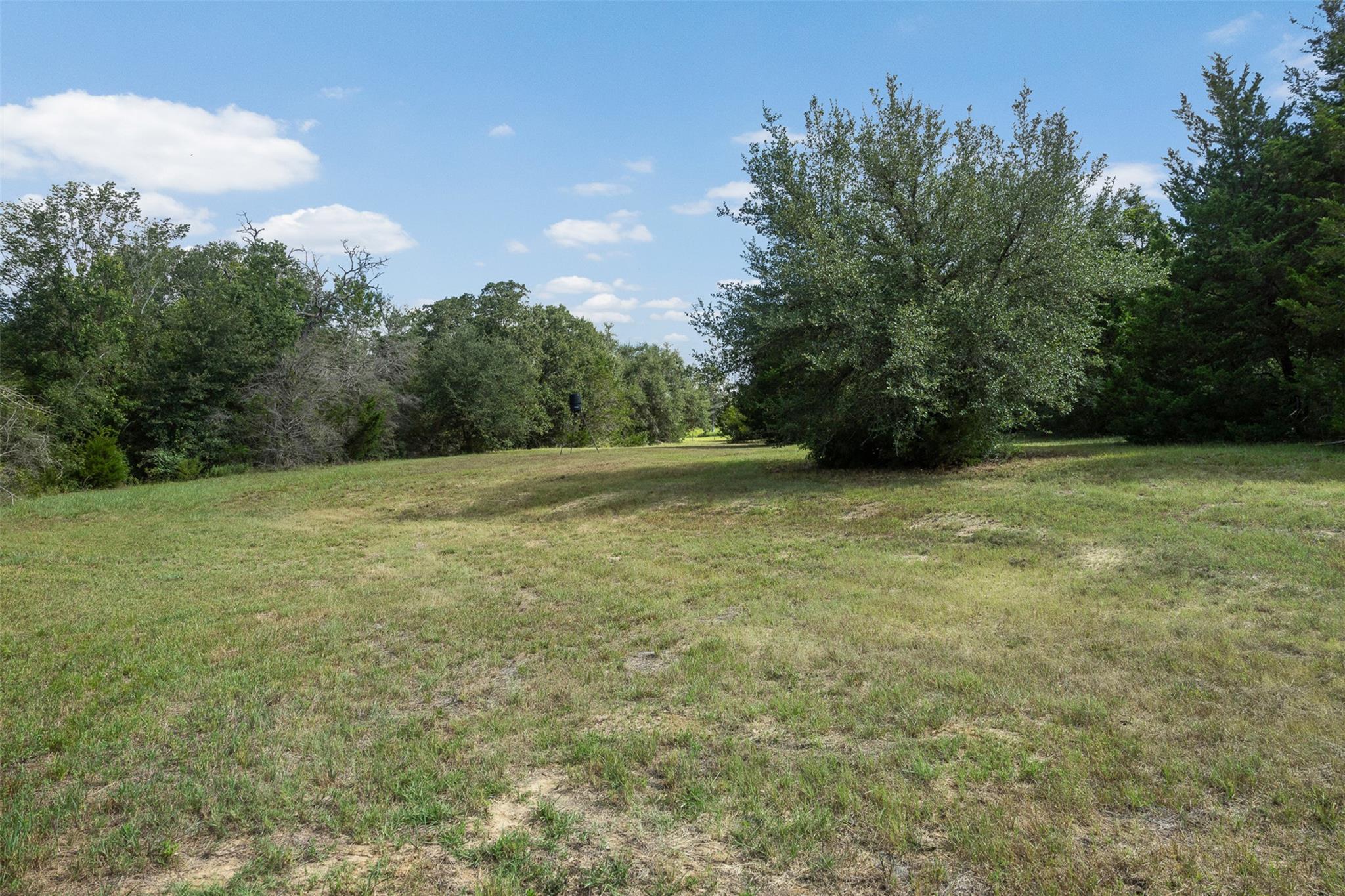 3555 County Road 430 None Property Photo 6