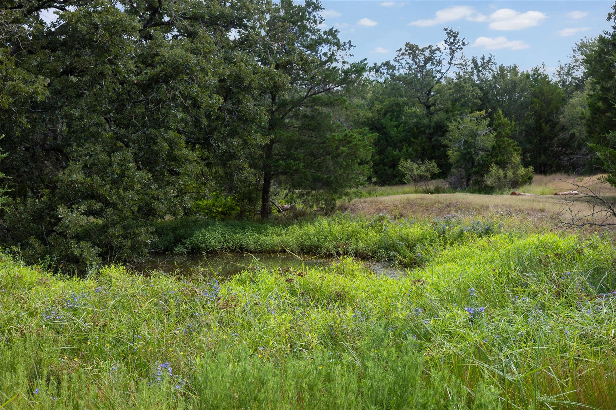 3555 County Road 430 None Property Photo 7