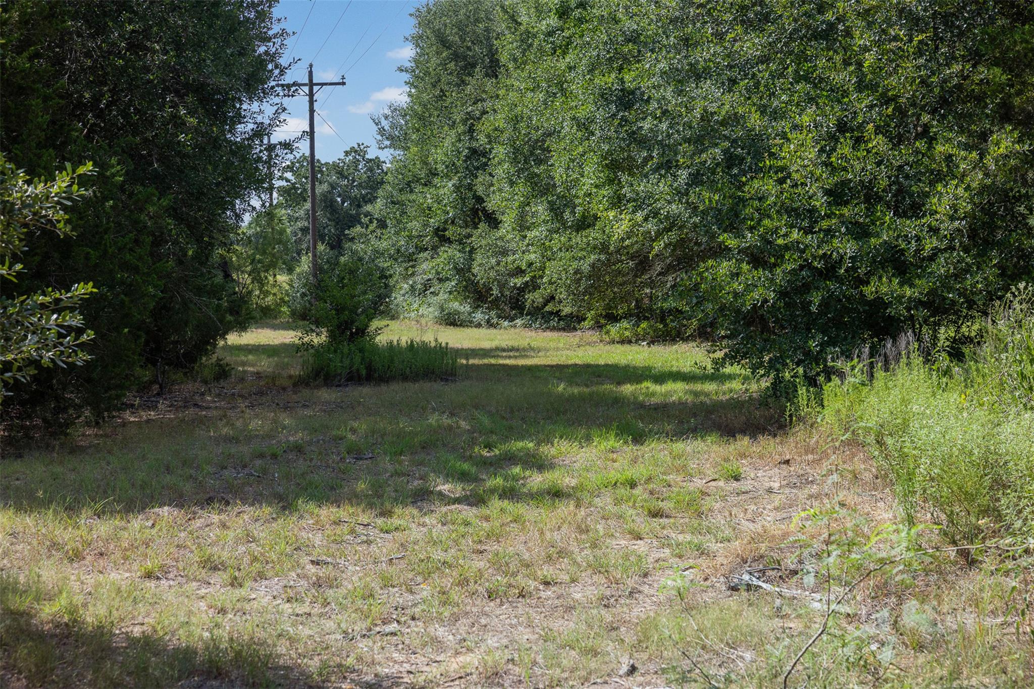 3555 County Road 430 None Property Photo 9