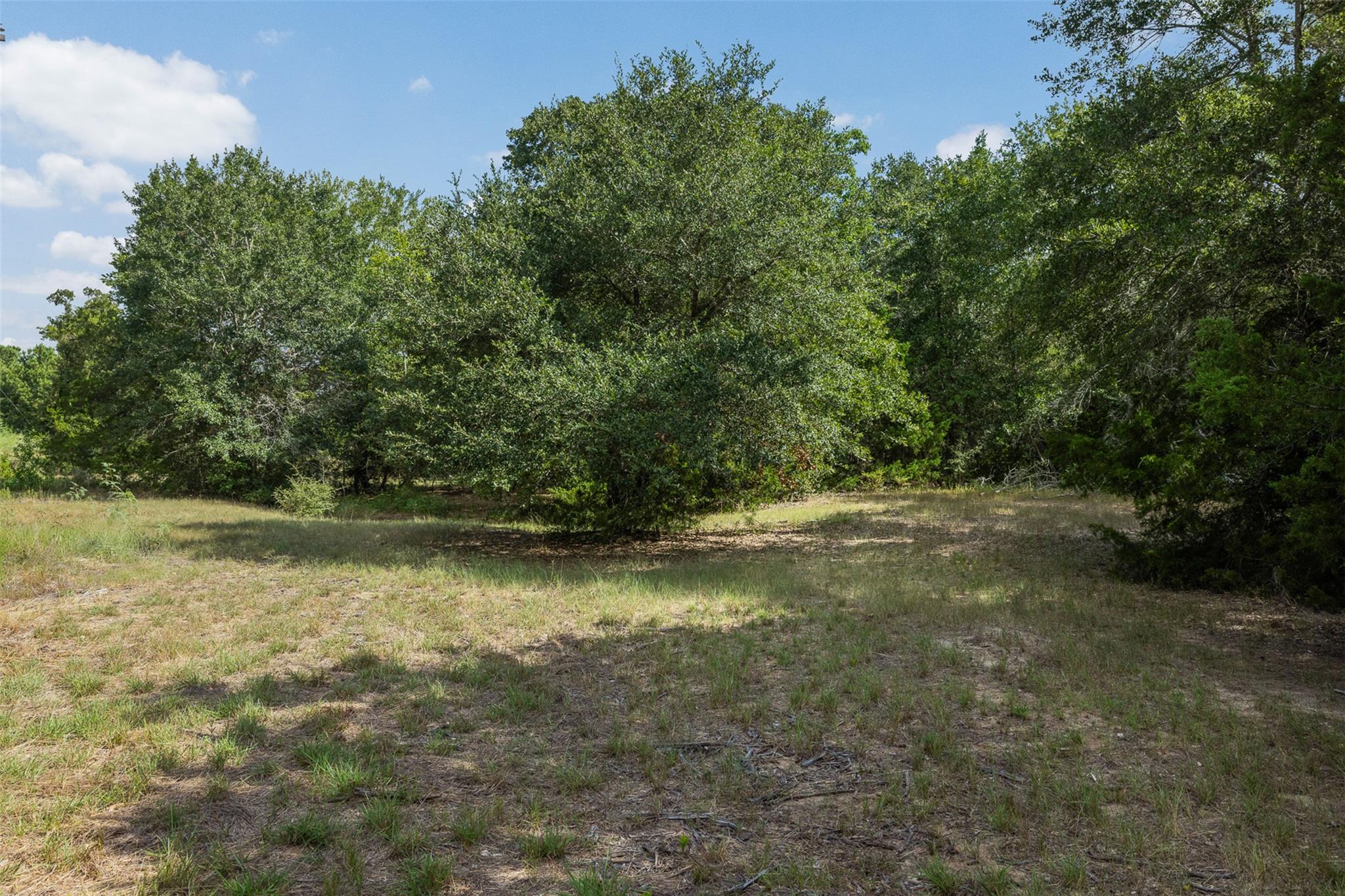 3555 County Road 430 None Property Photo 10