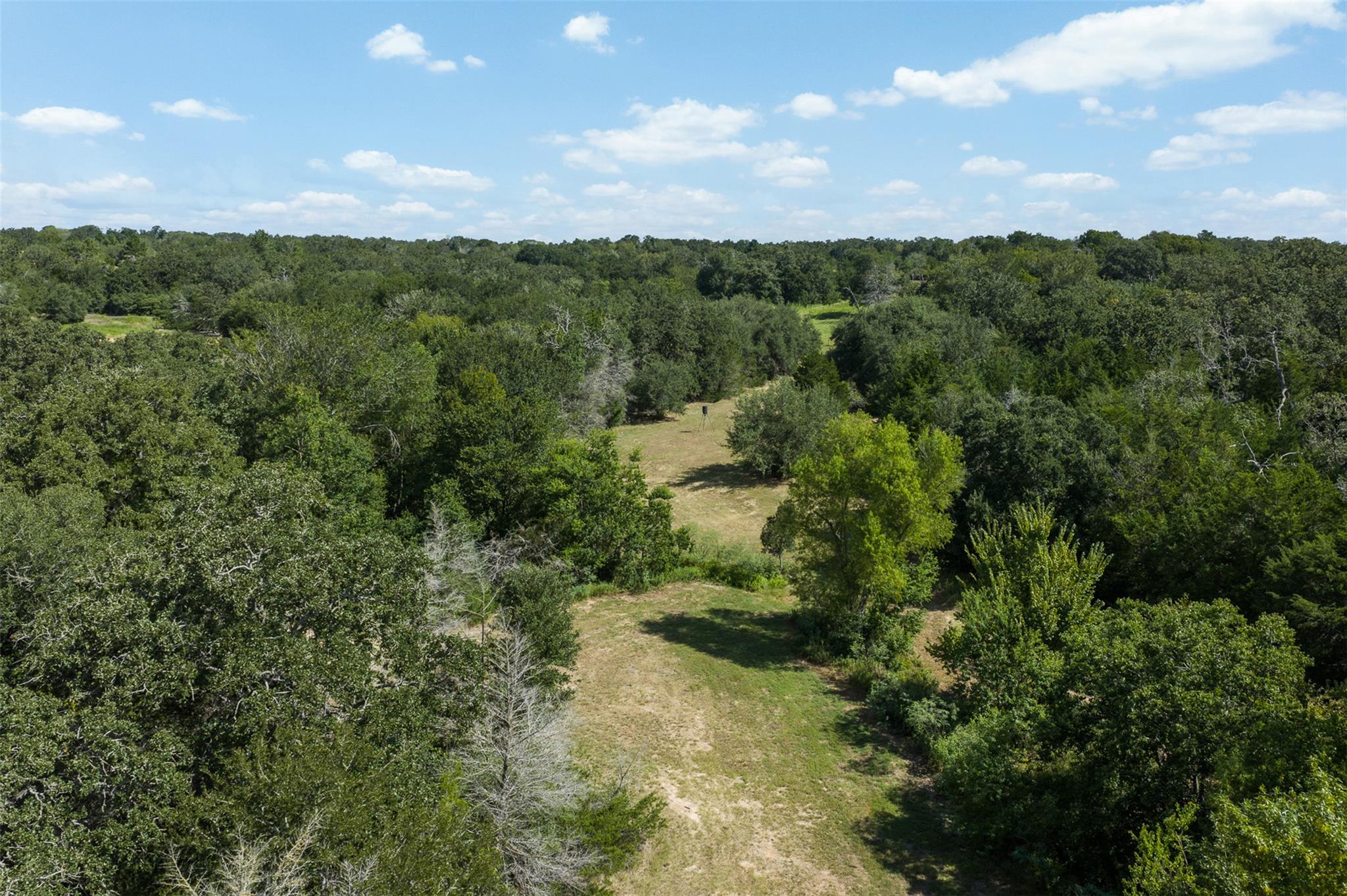 3555 County Road 430 None Property Photo 15