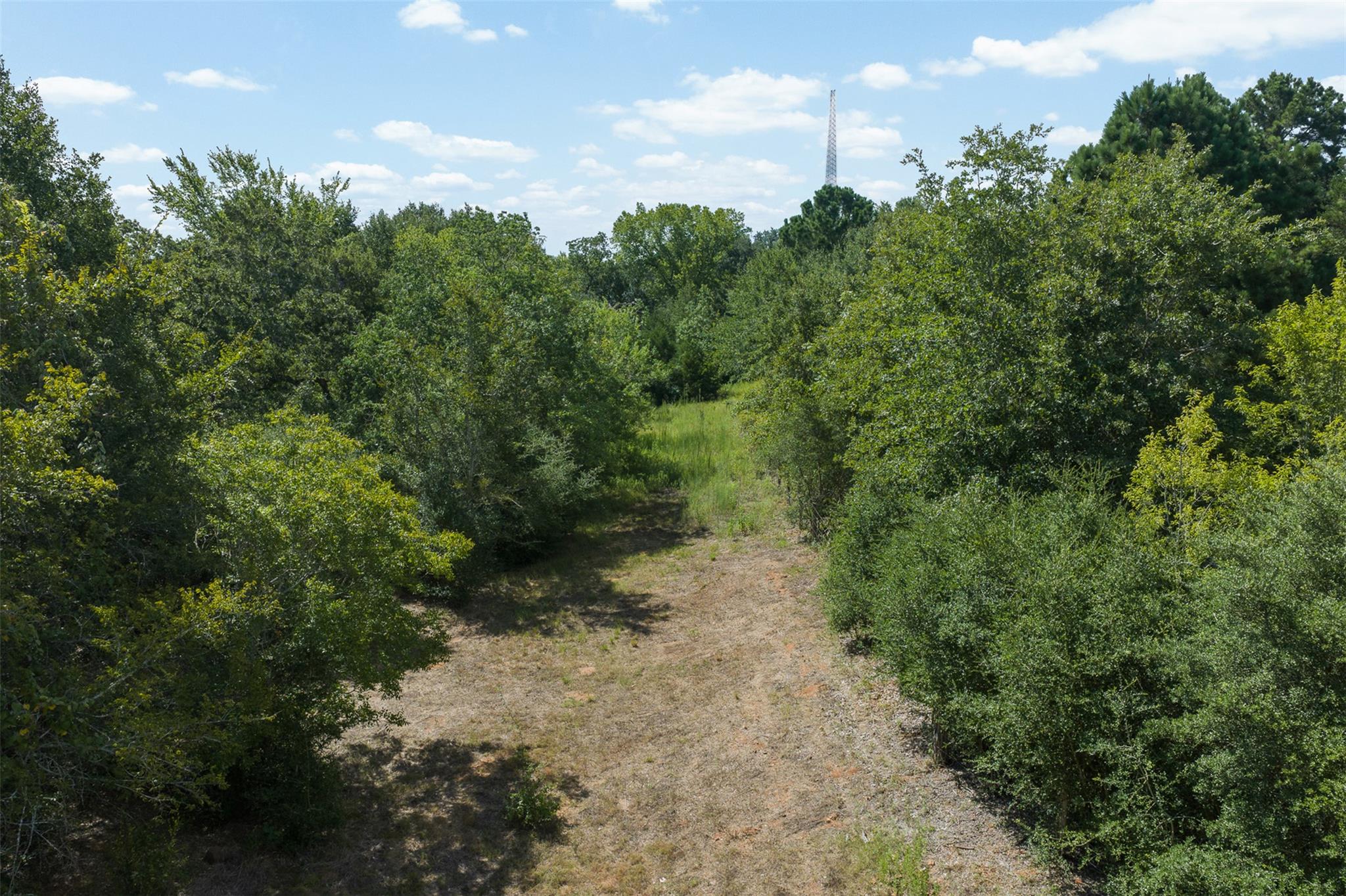 3555 County Road 430 None Property Photo 16