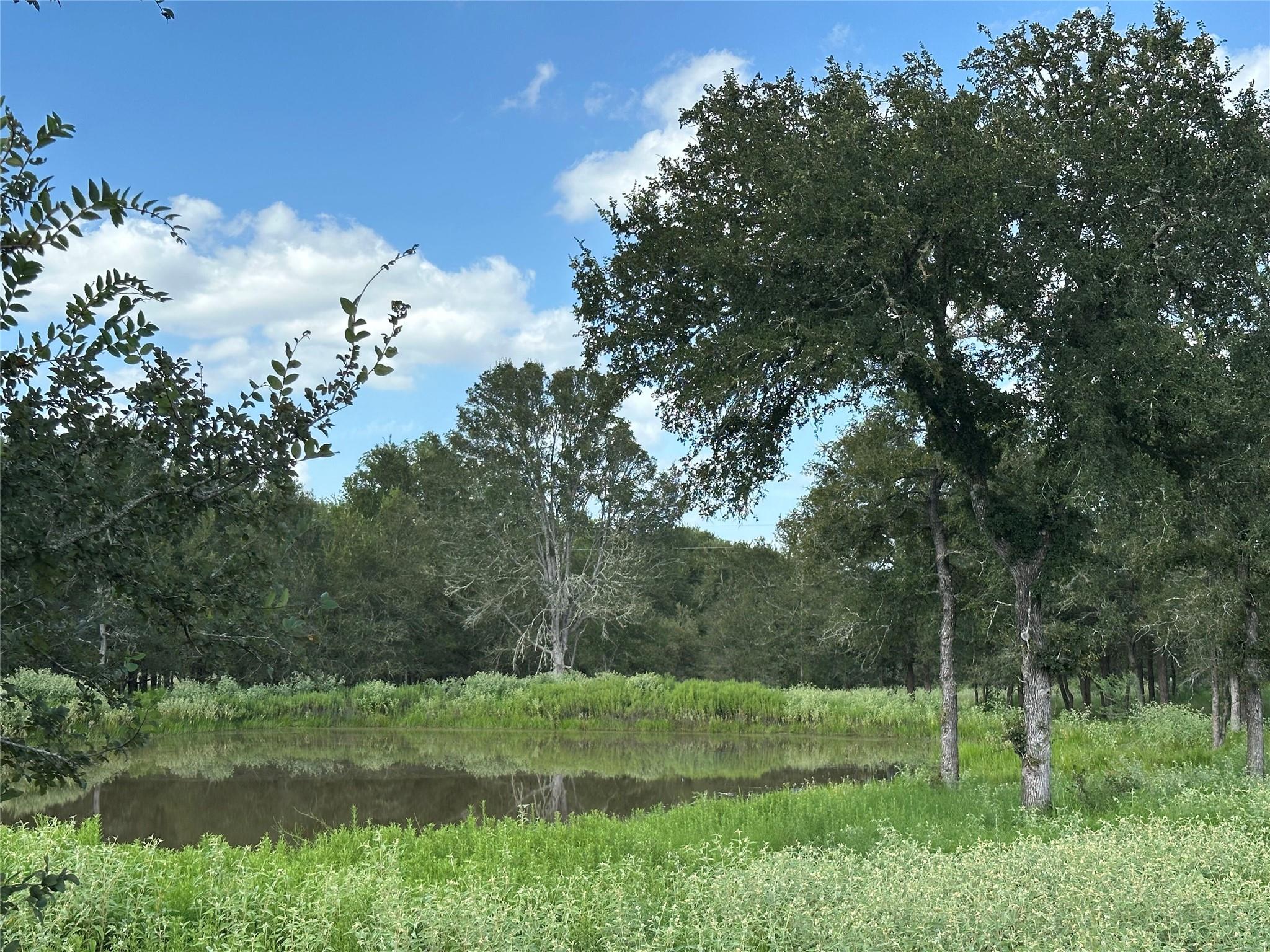 1085 County Road 426 None Property Photo 6
