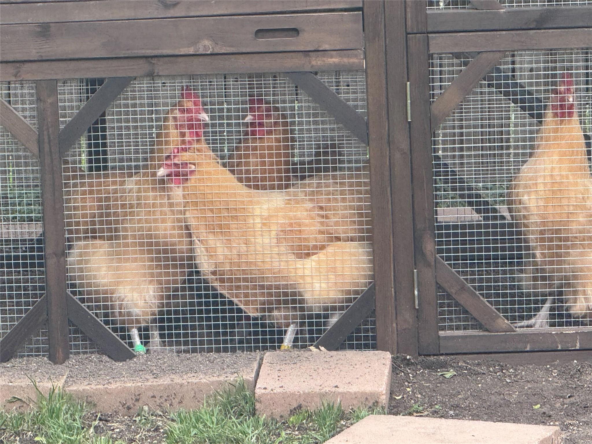 11601 Forest Rain None Property Photo 33