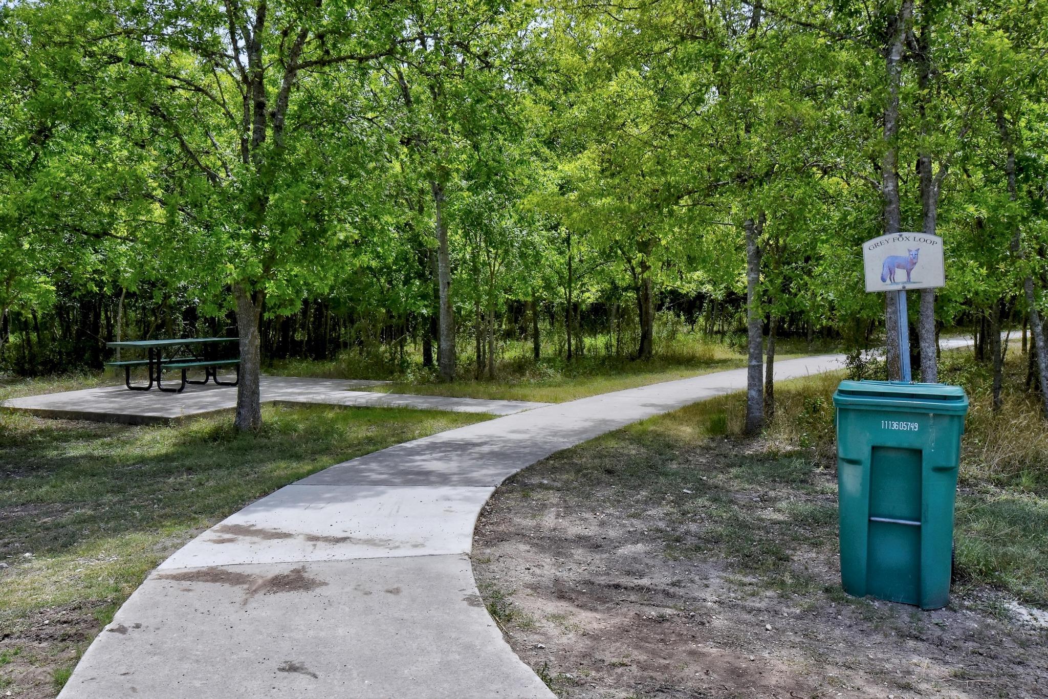 11601 Forest Rain None Property Photo 38