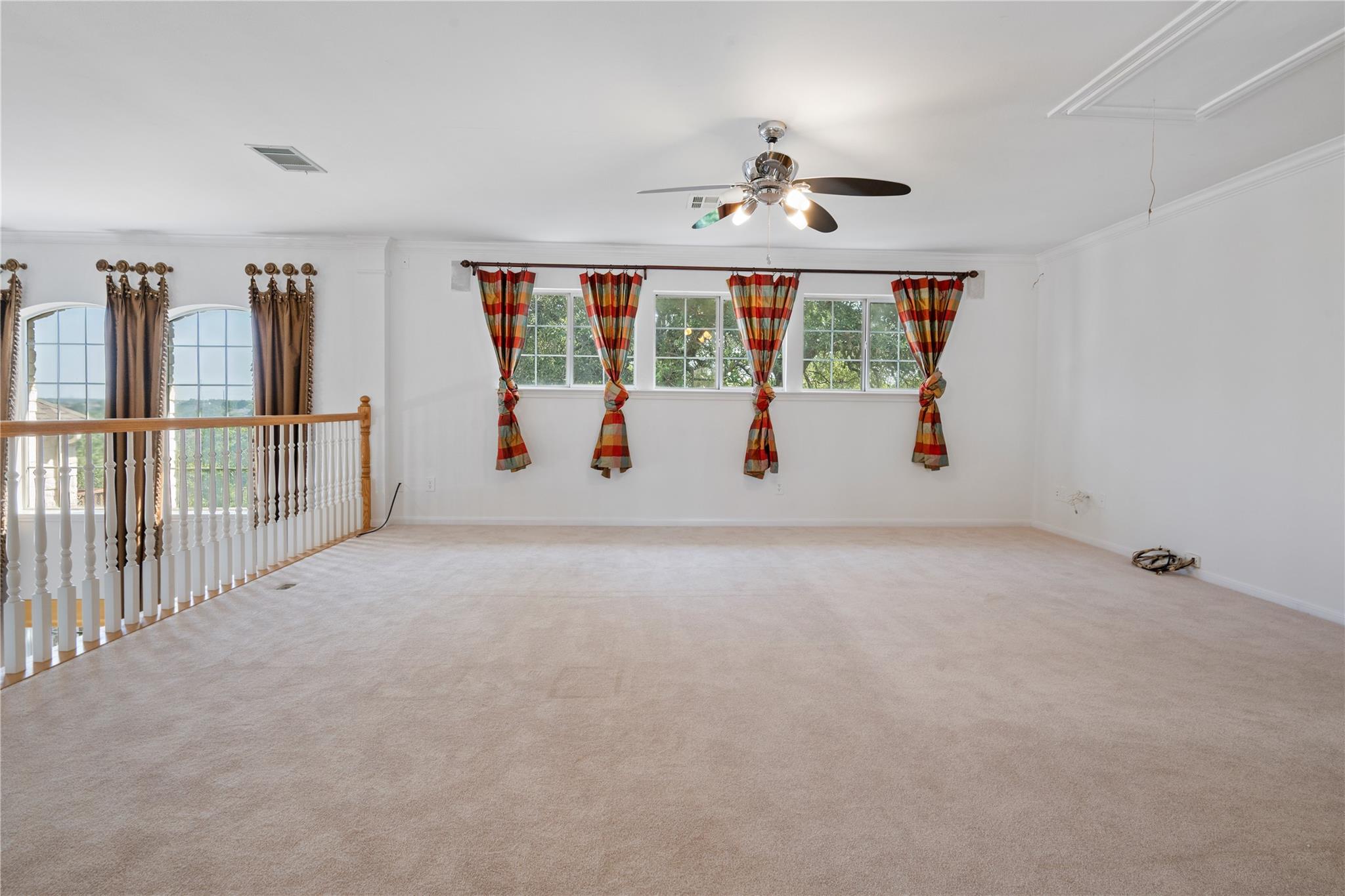 10025 Dianella Ln Property Photo 26