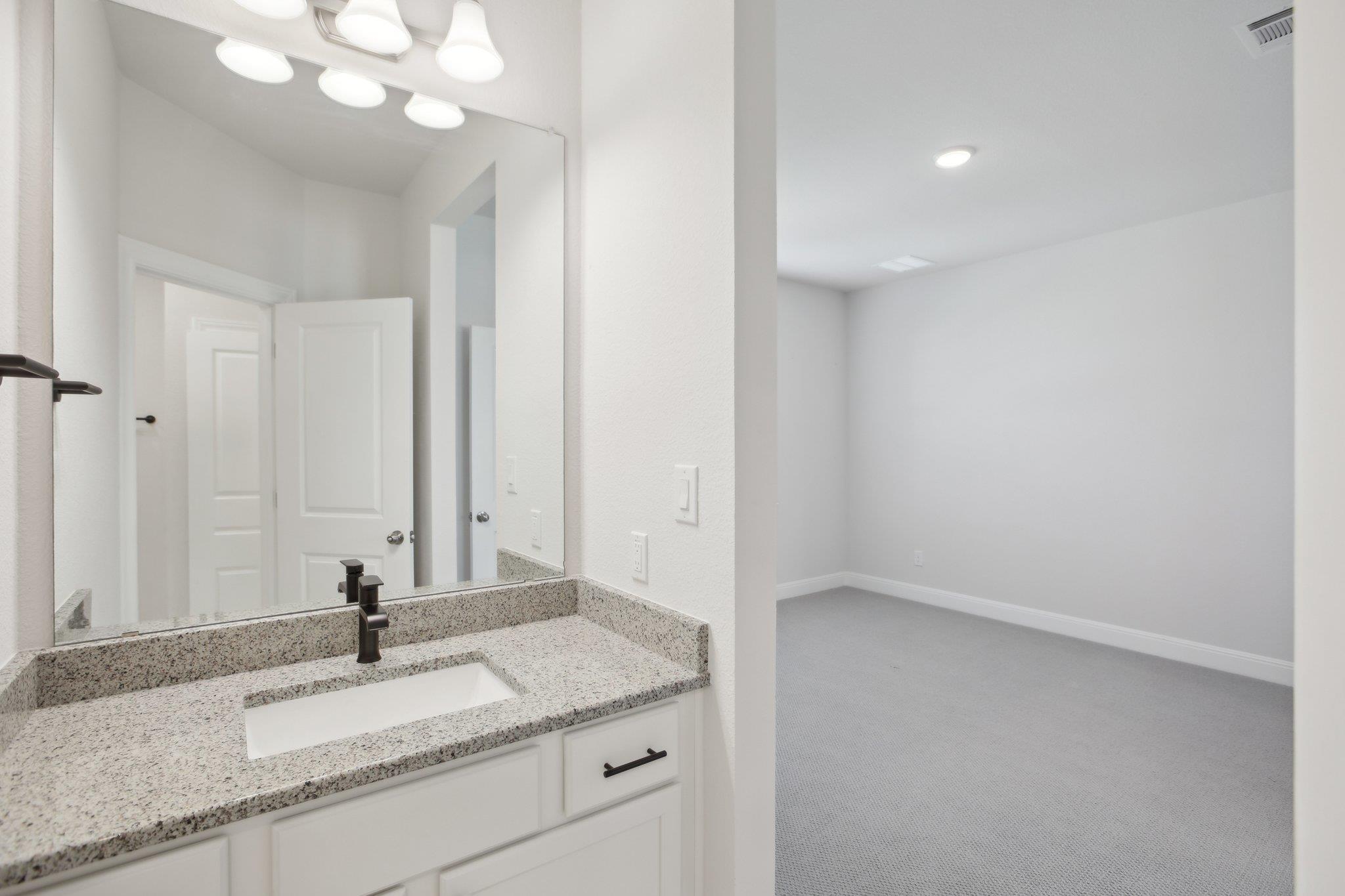 2436 Capestrano Cir Property Photo 19