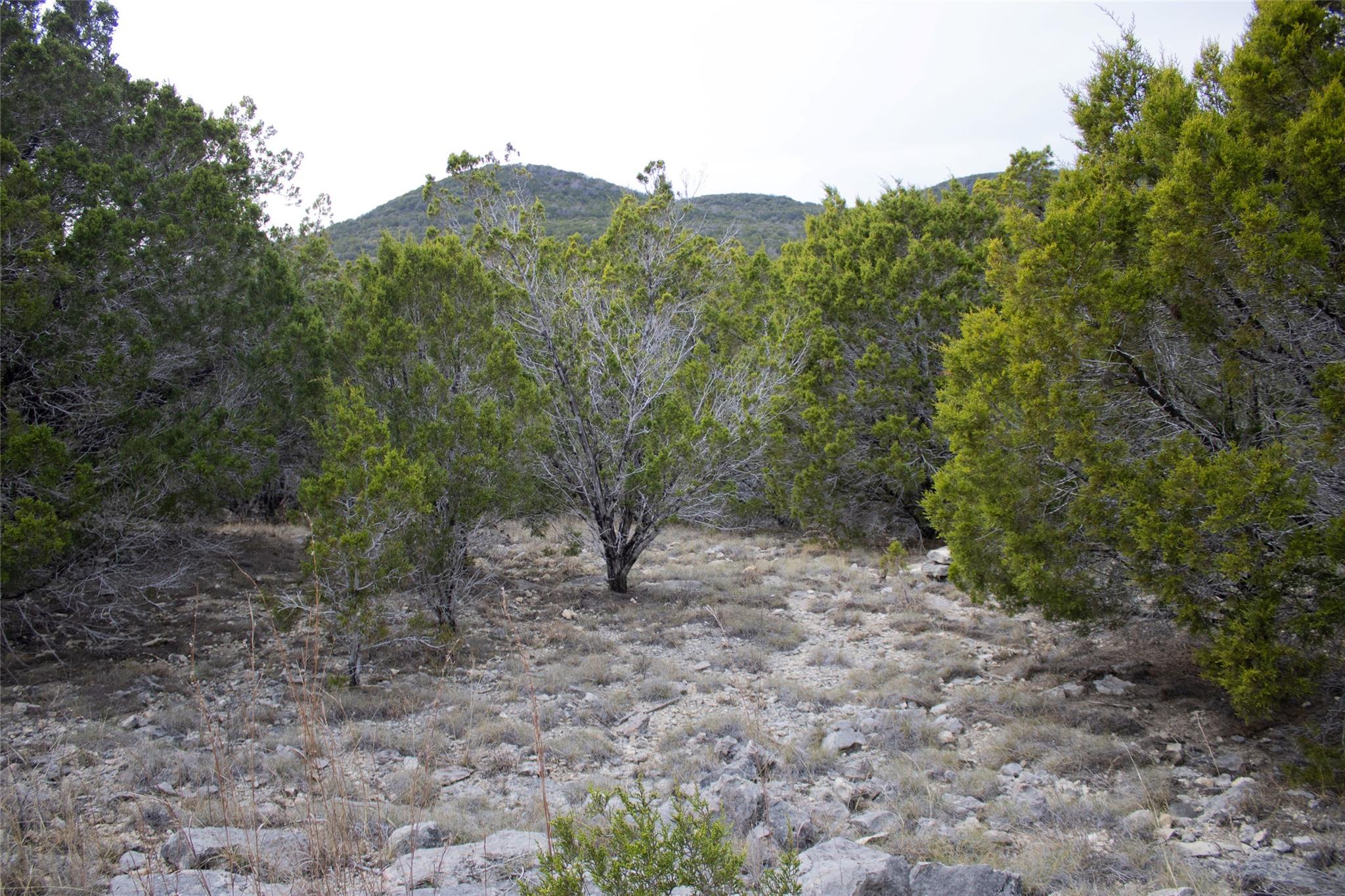 Bar K Ranches 11 Real Estate Listings Main Image
