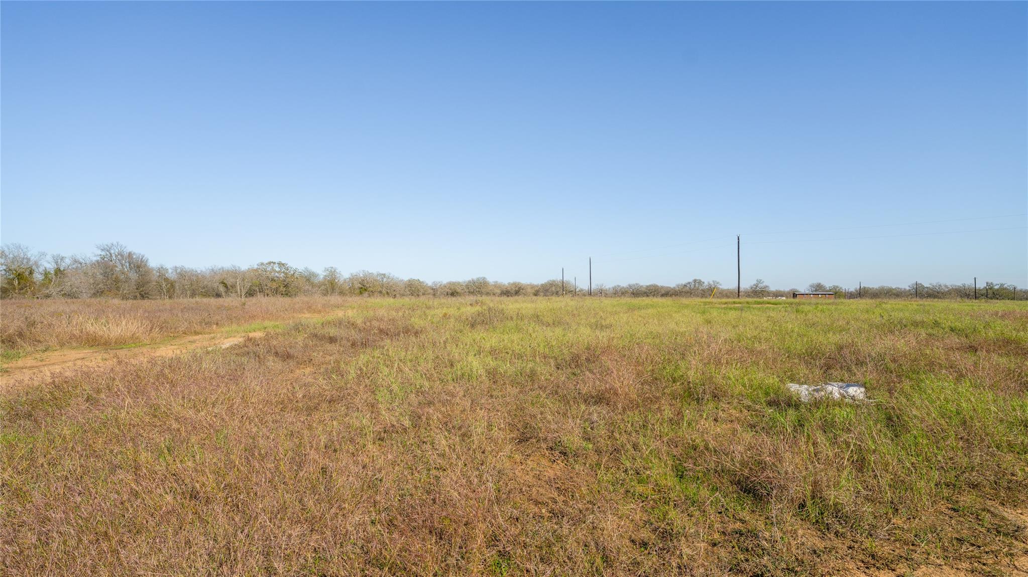 101 Azalea Ct Property Photo 6
