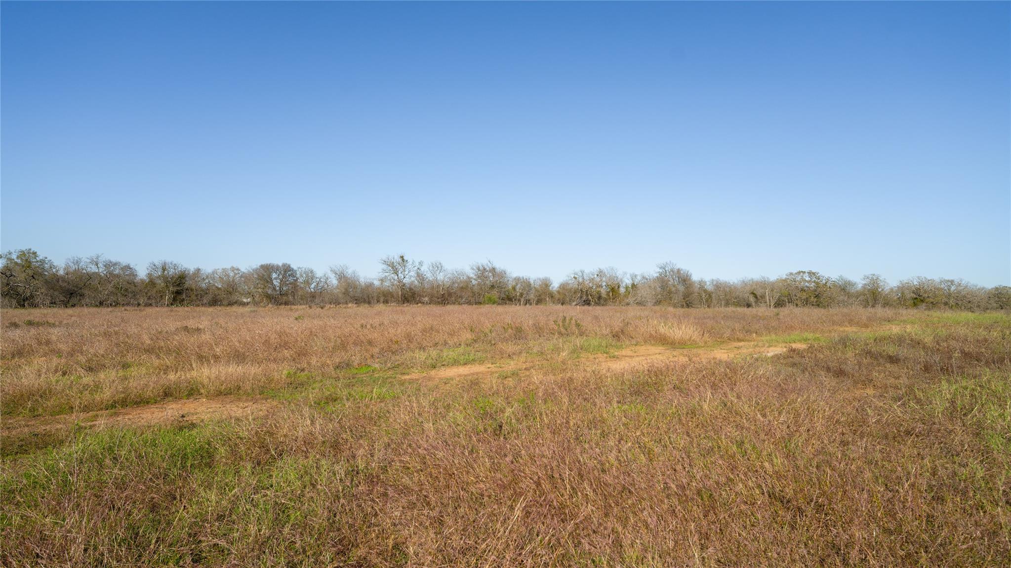 101 Azalea Ct Property Photo 7