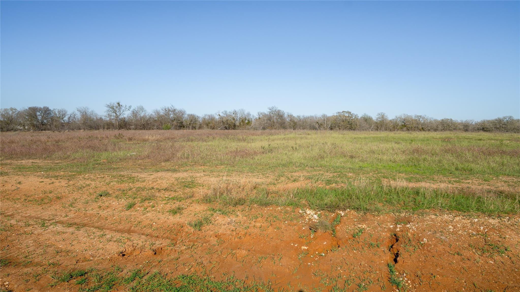 101 Azalea Ct Property Photo 8